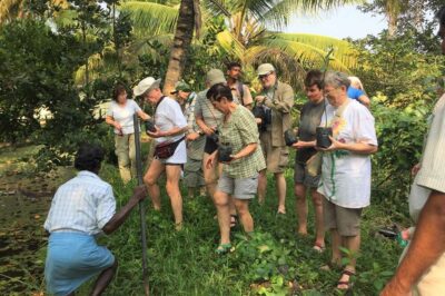 Reisegruppe pflanzt Mangroven