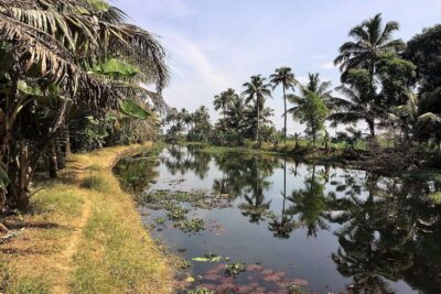 Südindische Tropenlandschaft